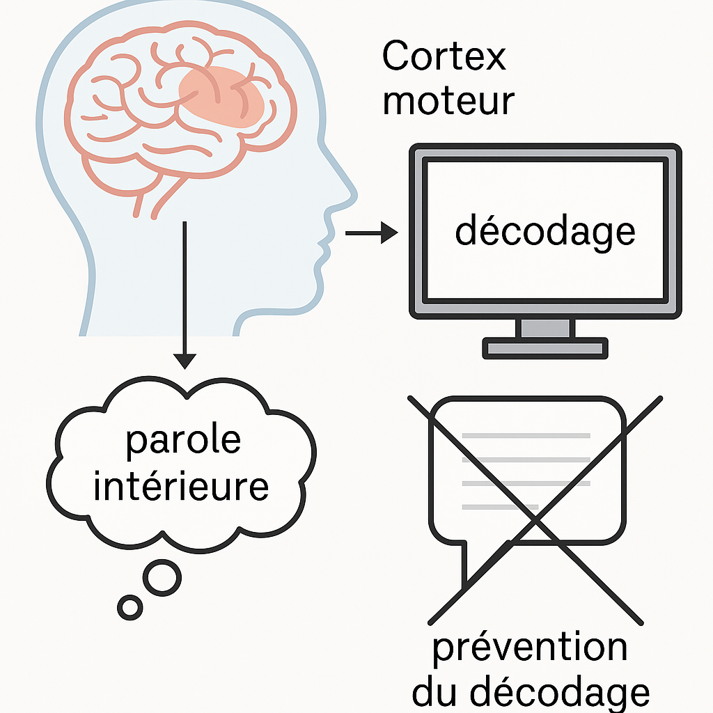 Neuroprothèses de la parole : quand la voix intérieure devient audible